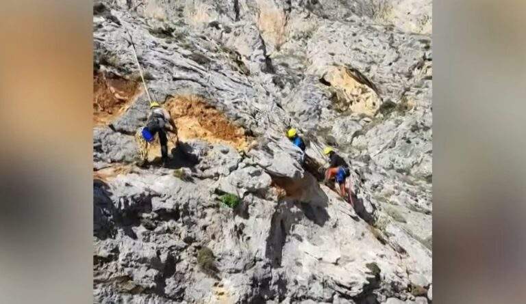 Χαλκιδική: Oστά και ανθρώπινο κρανίο εντοπίστηκαν σε τεχνητή λίμνη ξενοδοχειακής μονάδας