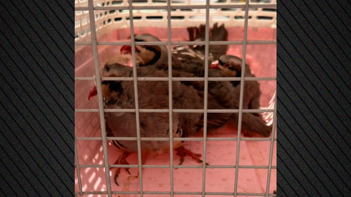 Σειρά συναντήσεων του Νίκου Δένδια στα ΗΑΕ