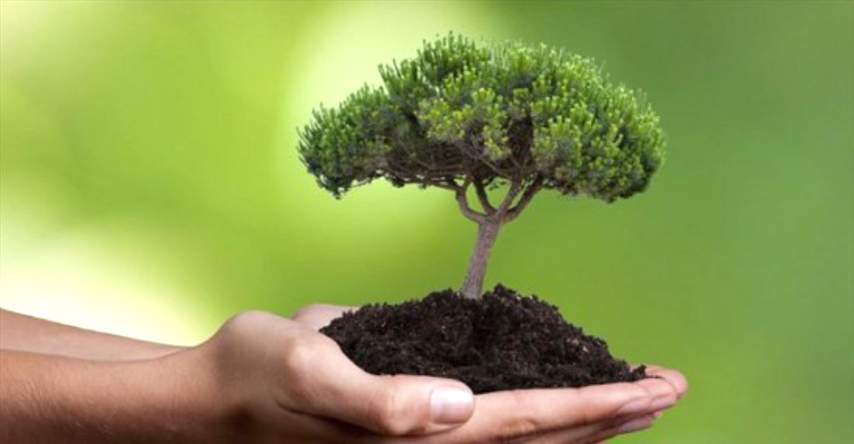 Το μυστικό για τραγανές πατάτες: Το «κόλπο» που δεν σου έχουν πει