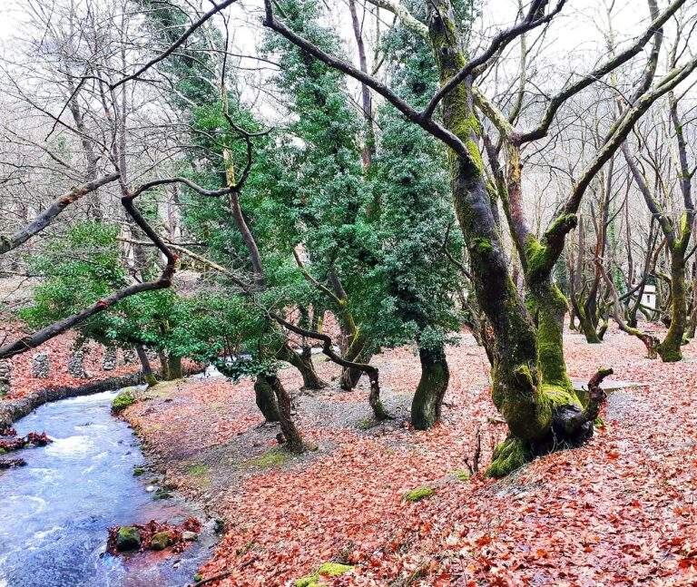 ΕΚΤΑΚΤΟ – Ισχυρότερος σεισμός τωρα