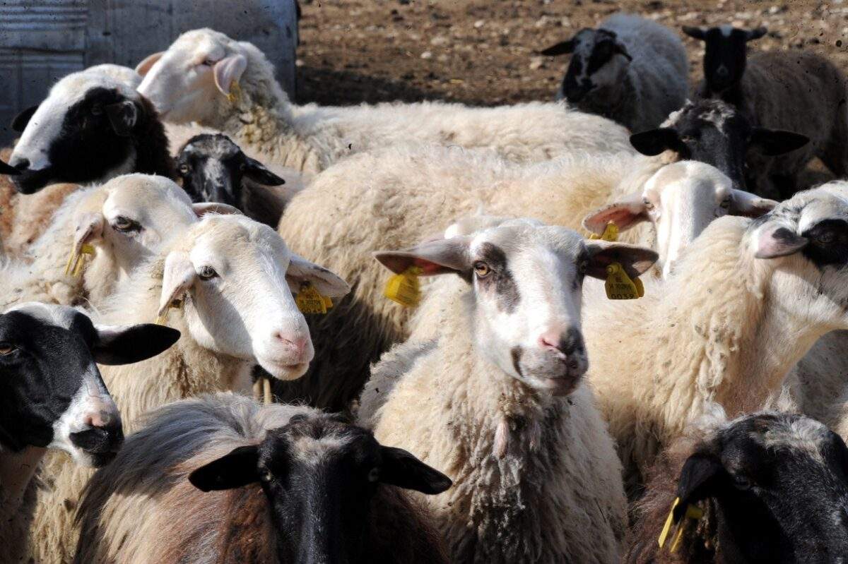 Το πρώτο βίντεο του Μοτζταμπά Χαμενεΐ μετά τη δολοφονία του πατέρα του: Το μήνυμα που ανεβάζει την ένταση