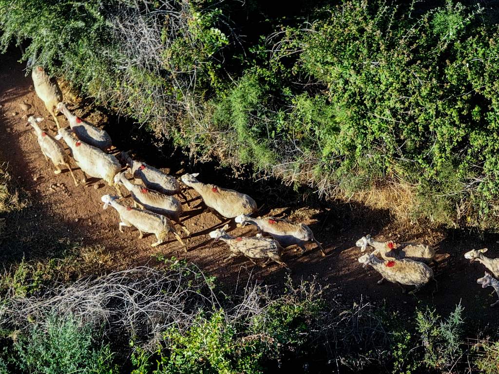 Μία νύχτα μόνο: Αλεξάνδρα και Αρετή ξεμαλλιάζονται στη φυλακή και…
