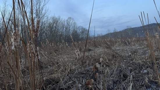 Σύγχυση και παράπονα χρηστών προκάλεσε ο έλεγχος ηλικίας στο App Store
