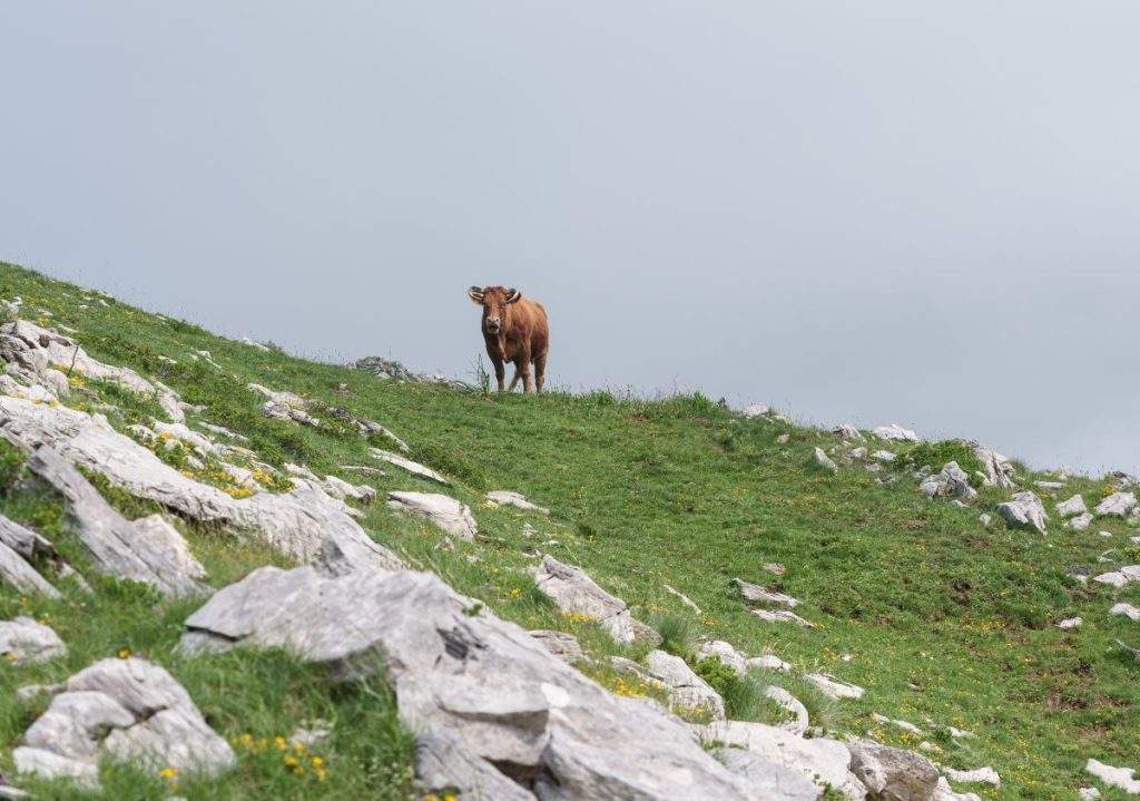 Booking.com: Ποιοι προορισμοί προτιμούν οι Γερμανοί για το Πάσχα