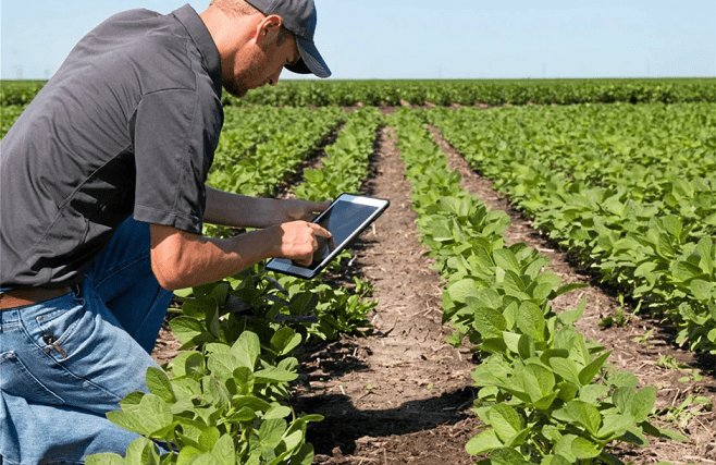 Επιμόρφωση εκπαιδευτικής ρομποτικής – STEM Education για προσχολική και Αβ/θμια