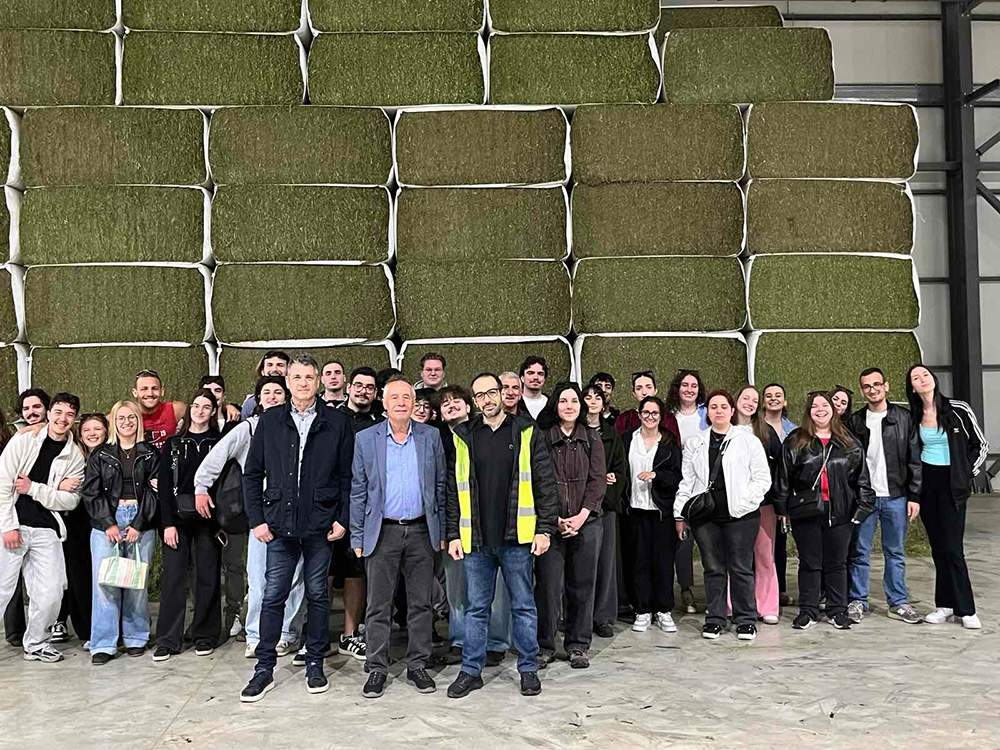 Μηχανή ή κινητό; 7 κόλπα για φωτογραφίες που μοιάζουν επαγγελματικές