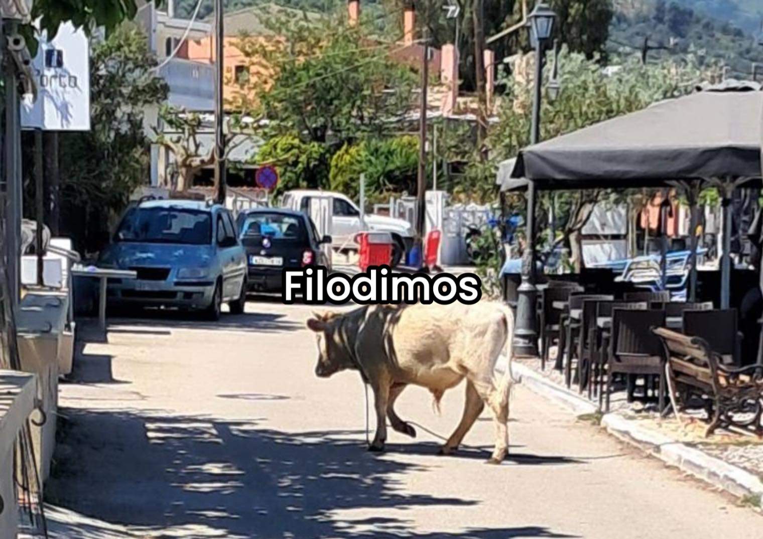 Λεκτικές κόντρες Μερτς – Τραμπ για το Ιράν