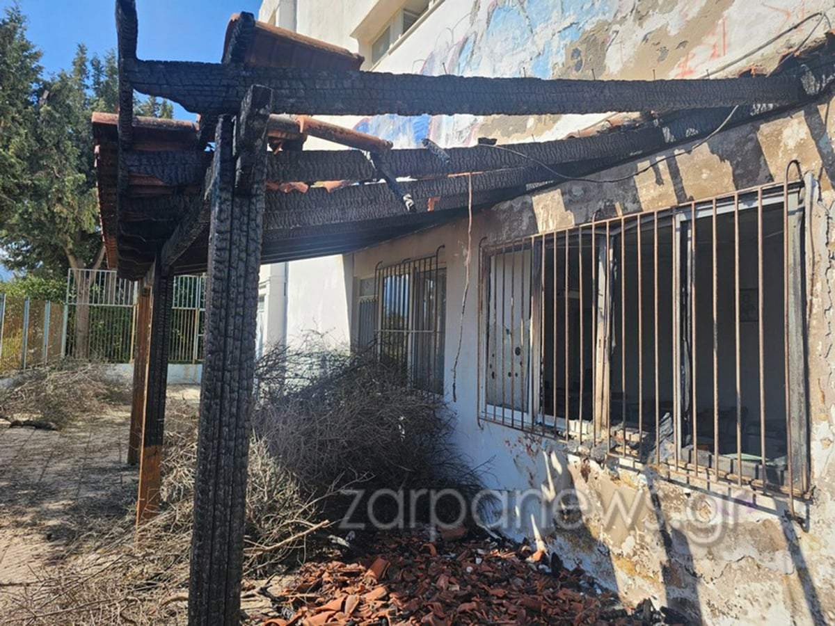 Τα 5 υπέροχα οφέλη υγείας που έχει ο βασιλικός