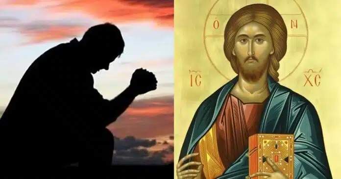 Αμνοερίφια έως 18€/κιλό στην Ορεστιάδα – Οι ζωονόσοι αλλάζουν τα δεδομένα