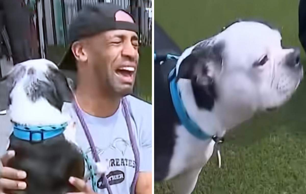 Κοριτσάκι «κρατάει όμηρο» τον αδελφό της με πλαστικό όπλο για λίγες καραμέλες (video)