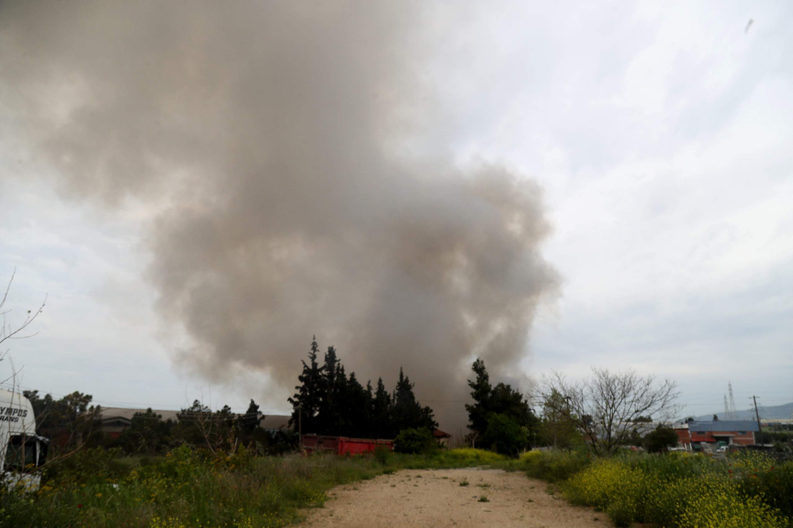 Επιστρέφουν στην πατρίδα πέντε σπάνιες αρχαιότητες από τις ΗΠΑ