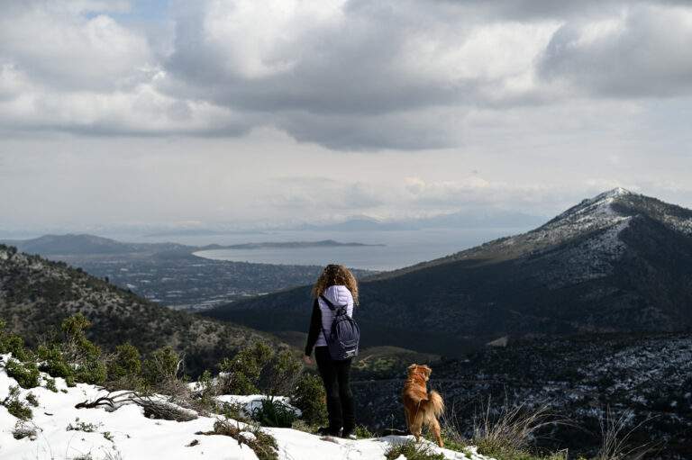 Στην Ευρωπαϊκή Εισαγγελία οι 20 συλληφθέντες της Κρήτης για το σκάνδαλο ΟΠΕΚΕΠΕ – Έλαβαν πάνω από 3 εκατ.