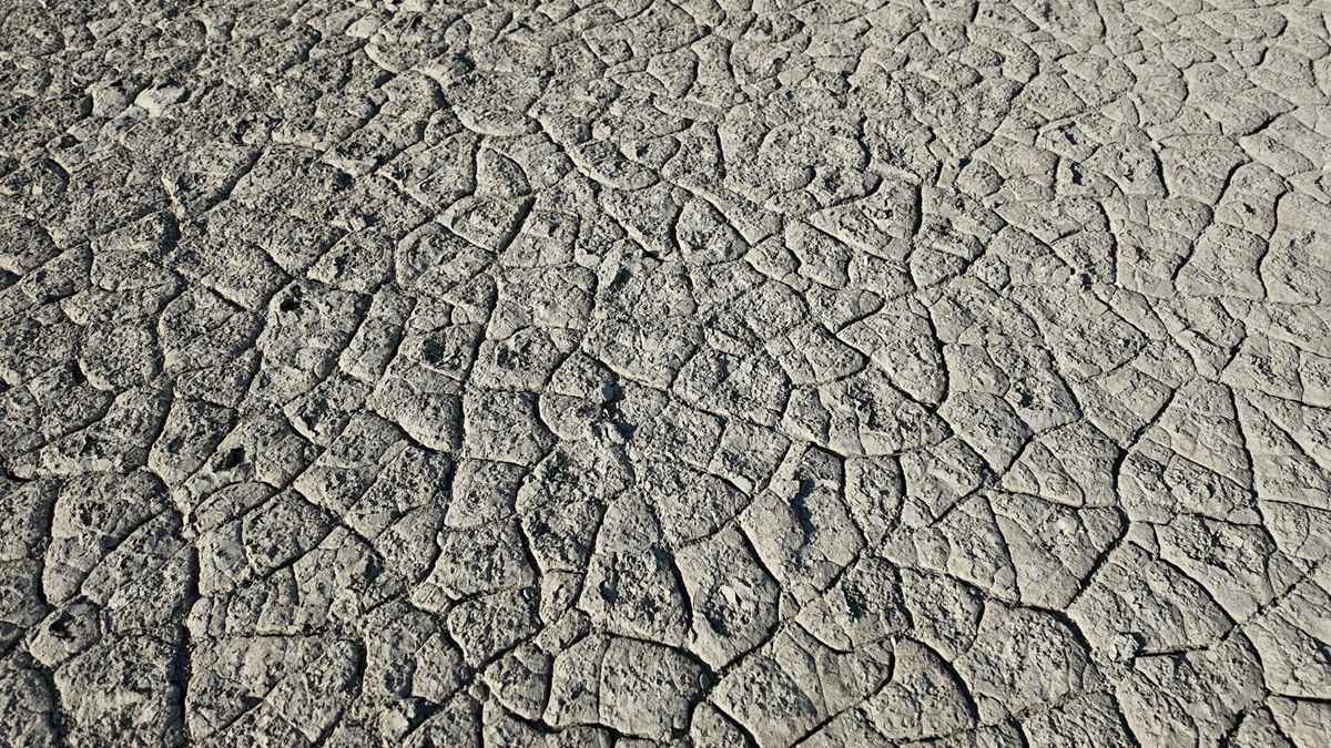 Ιαπωνία: Συνελήφθησαν δύο Αμερικανοί που εισέβαλαν σε ζωολογικό κήπο για ένα βίντεο με τη διάσημη μαϊμού «Punch»