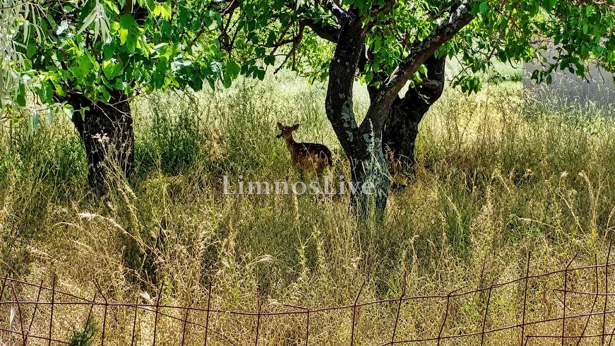 Τικ Τοκ – Το κλικ των 15 Δευτερολέπτων