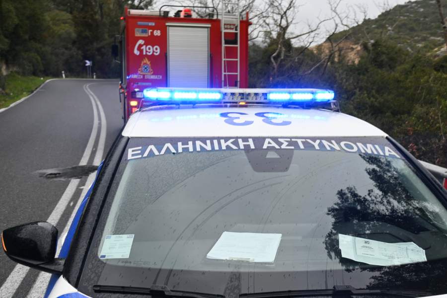 Γιατί ο σκύλος σου τρώει τα πάντα; 7 λόγοι και τι να κάνεις σήμερα