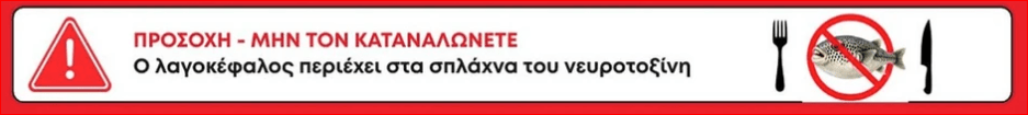 Θεσσαλονίκη: Μεθυσμένος οδηγός κρύφτηκε σε ρεματιά έπειτα από τροχαίο
