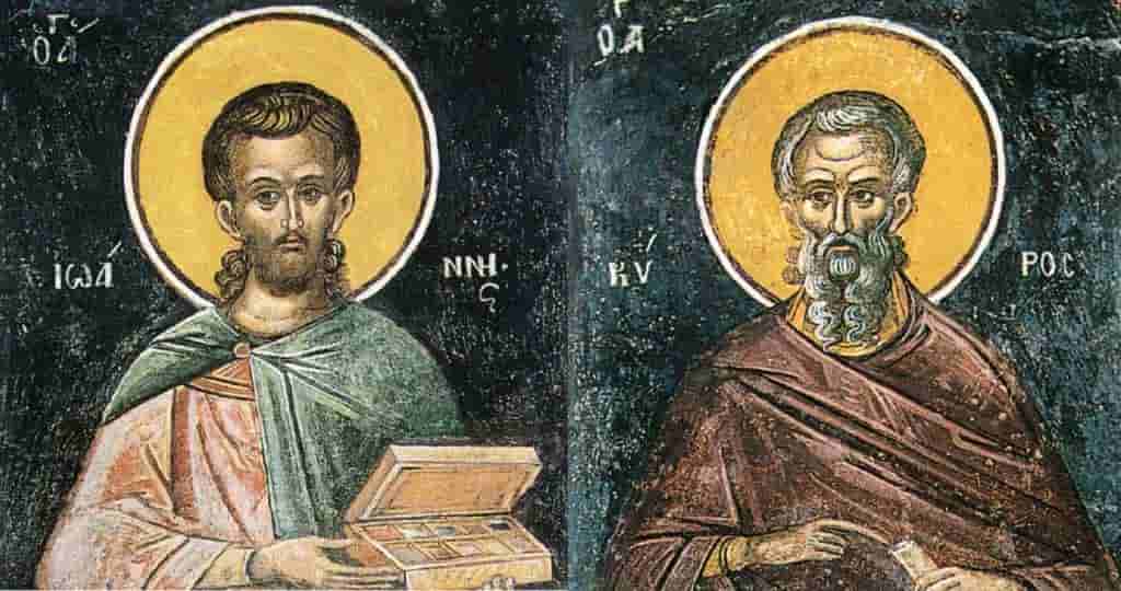 Επιστήμονας αποκωδικοποίησε τη «γλώσσα» των πουλιών – «Κατανοούν το νόημα των διαφορετικών τύπων φωνών τους»
