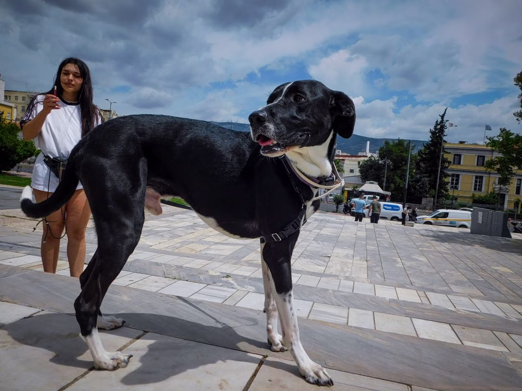 Το σπίτι δίπλα στο ποτάμι: Η Δέσποινα ξεφτιλίζει την Ασπασία