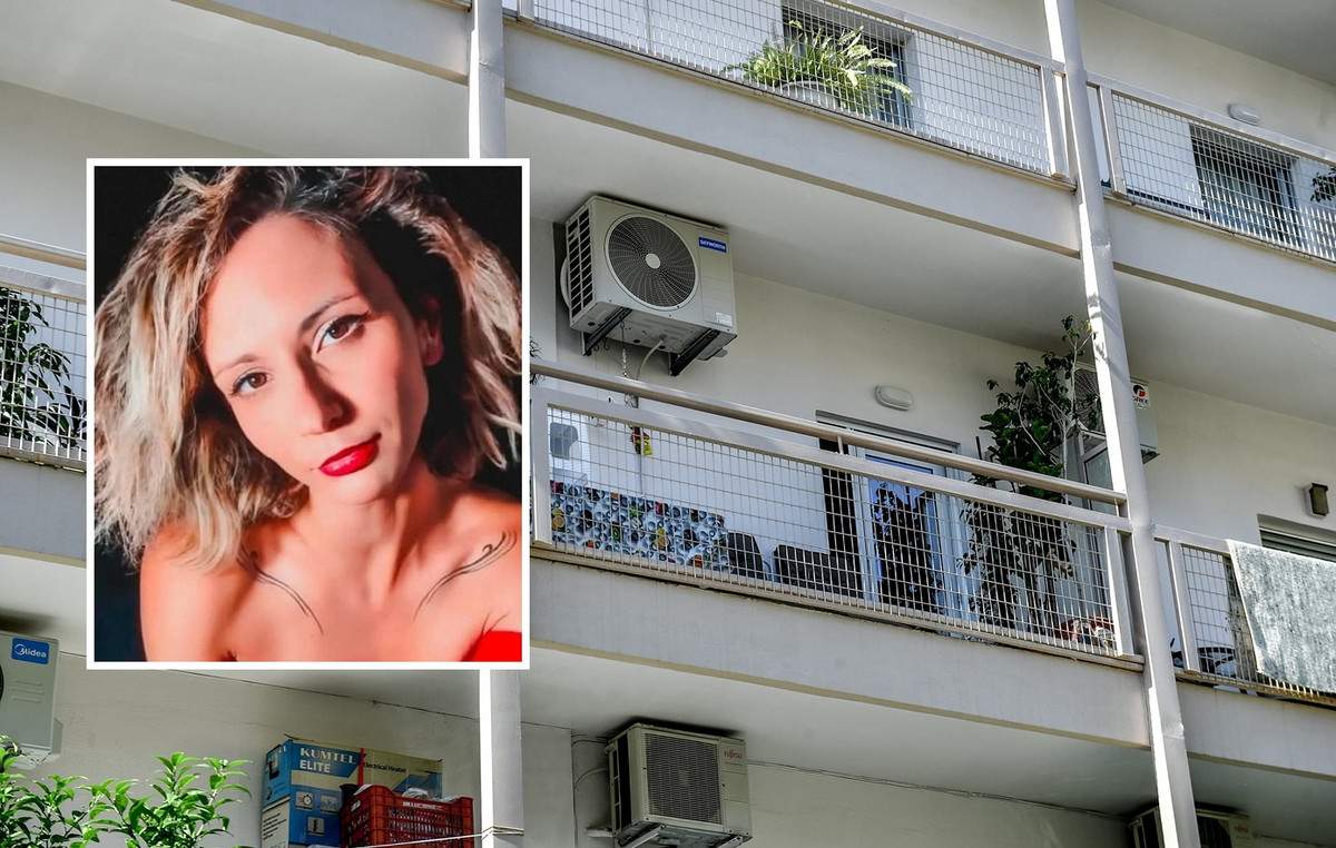 Αρκούδα «πετάχτηκε» στην Εγνατία οδό: Σφοδρή σύγκρουση με όχημα