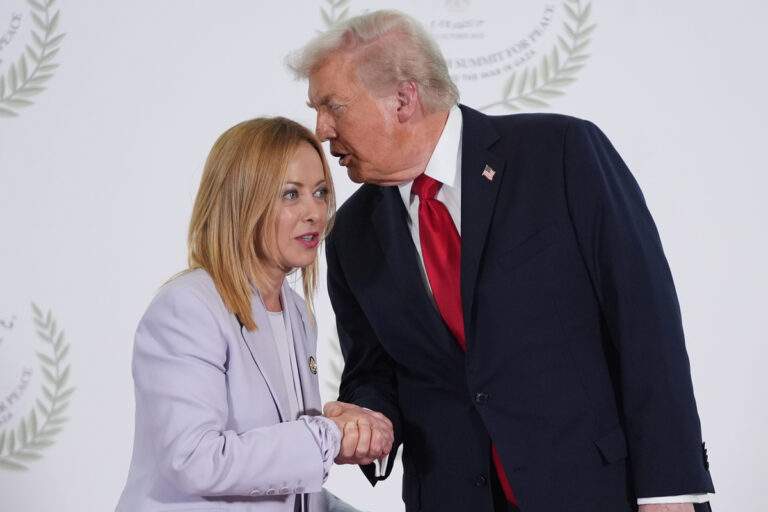 Μεσσηνία: Νεκρή φώκια ξεβράστηκε στην ακτή