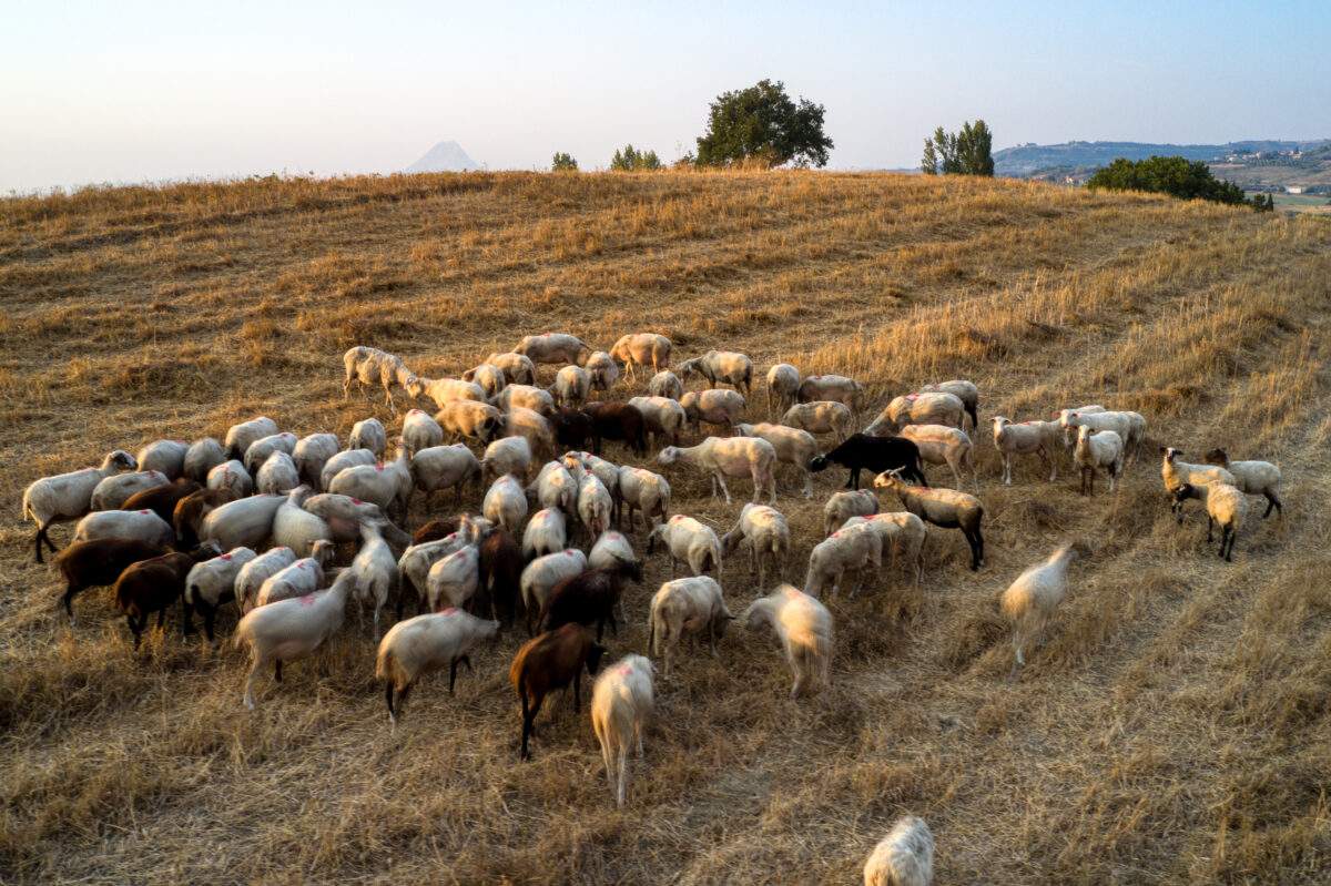 Επικοινωνία Μητσοτάκη με πρωθυπουργό Καναδά: Διμερείς σχέσεις και Σύνοδος ΝΑΤΟ στο επίκεντρο