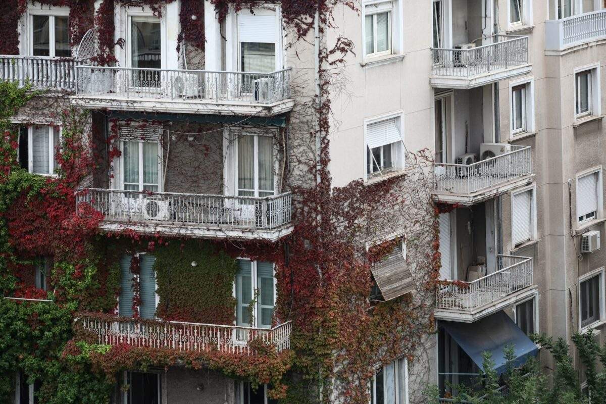 Εγνατία Οδός: Σύγκρουση οχήματος με αρκούδα στα Γρεβενά