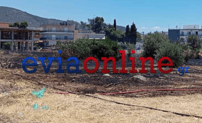 Μάθιου Πέρι: Σε δημοπρασία τα προσωπικά αντικείμενά του και δύο έργα του Bansky