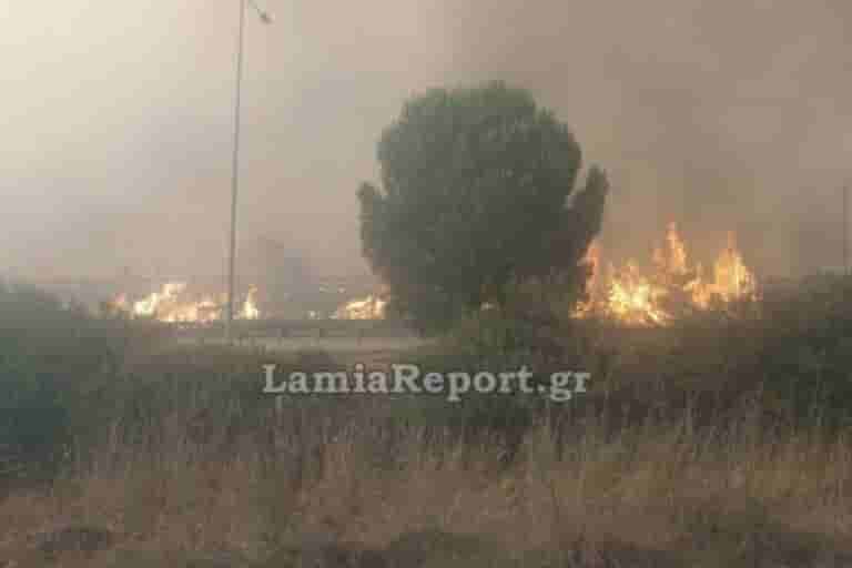 Φωτιά τώρα στο Μέγα Δέρειο Έβρου: Μεγάλη κινητοποίηση της πυροσβεστικής με εναέρια μέσα