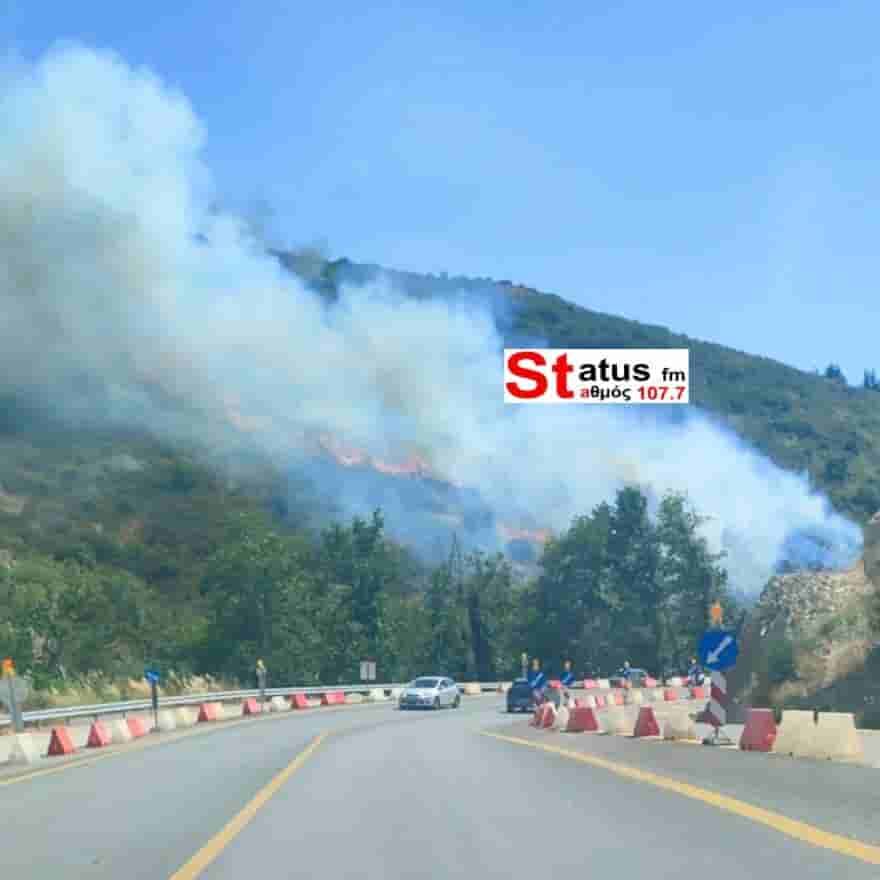 Λαμία: Η… χαρά του αγριογούρουνου – Βρήκε μπάλα και άρχισε τις ντρίπλες στο χωράφι – ΒΙΝΤΕΟ