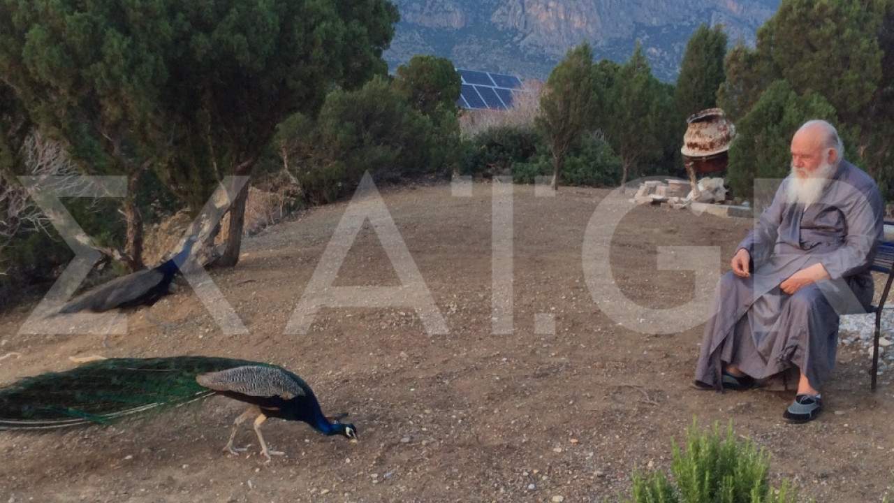 Το ΥΠΑΑΤ εξετάζει πιλοτική αλιεία λαγοκέφαλων με οικονομικά κίνητρα