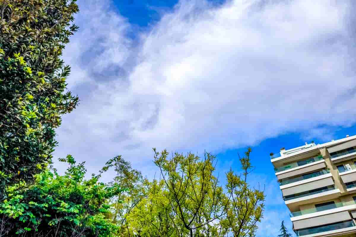 Ρεκόρ κατάσχεσης με πάνω από 100 τόνους ναρκωτικών σε φορτία ξυλείας στη Χιλή, δείτε βίντεο