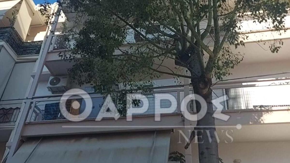 Κτηνωδία στη Θεσσαλονίκη: Είχε γάτες δεμένες με σχοινί στο μπαλκόνι της