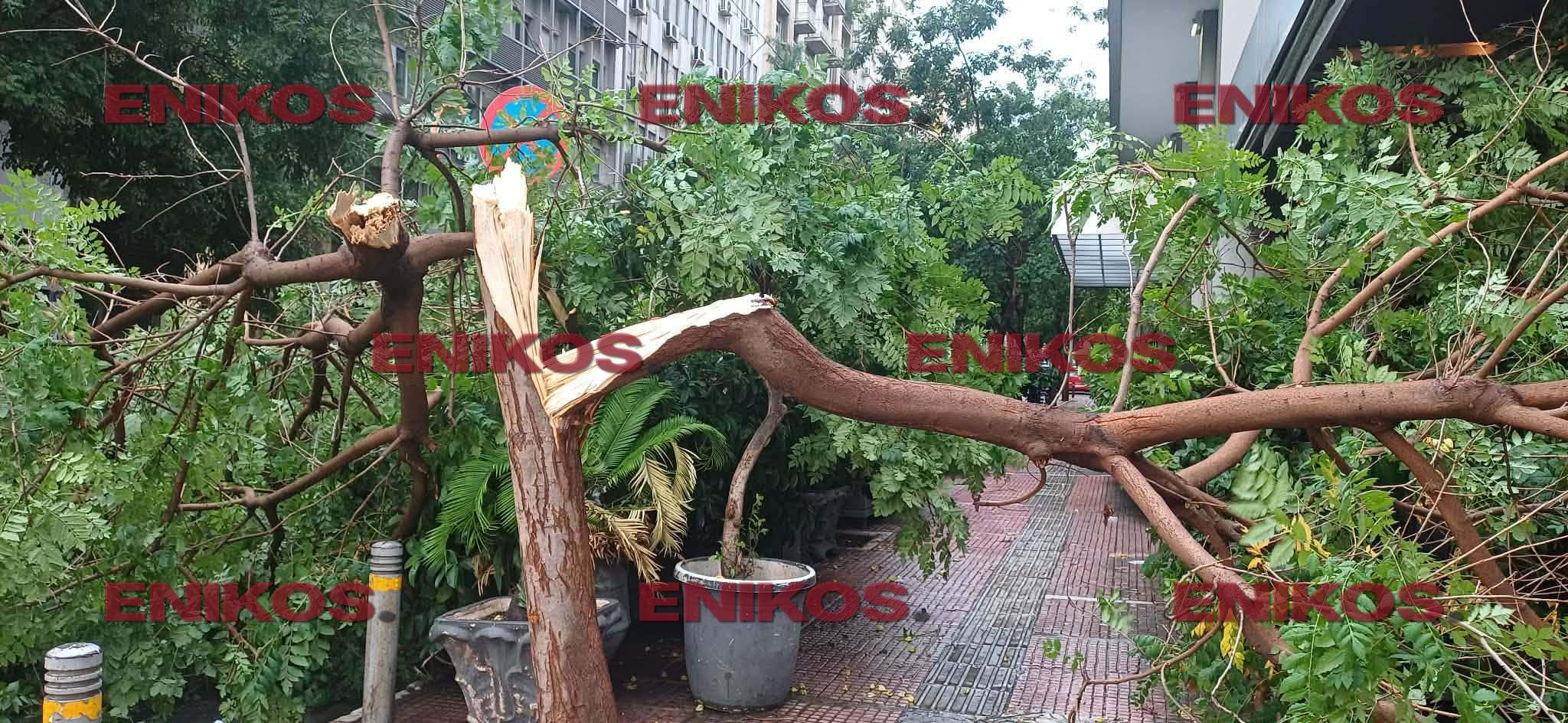 Η Σοφία Βεργκάρα γνώρισε τον Αντώνη Ρέμο στη Μύκονο – Ο θερμός χαιρετισμός – Βίντεο