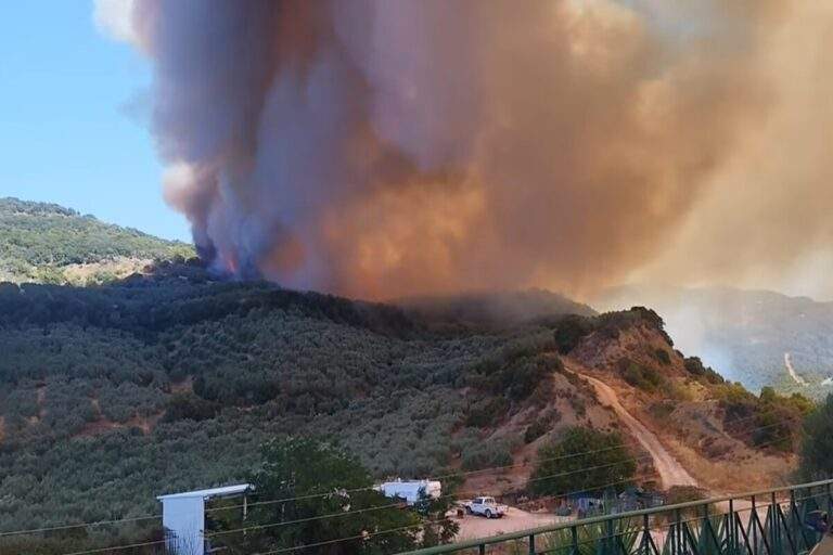 Φωτιά στο Αιγάλεω: Καίει σε χαμηλή βλάστηση, ήχησε το 112 για ετοιμότητα (Εικόνες)