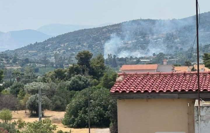 ΣΟΚ: ΝΕΚΡΟΣ ΜΕΣΑ ΣΤΗ ΒΙΛΑ ΤΟΥ ΠΑΣΙΓΝΩΣΤΟΣ ΕΠΙΧΕΙΡΗΜΑΤΙΑΣ – ΣΥΝΕΛΗΦΘΗ Η 20ΧΡΟΝΗ ΣΥΝΤΡΟΦΟΣ ΤΟΥ
