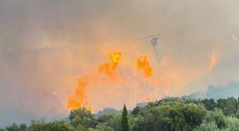 ΜΟΛΙΣ ΑΝΑΚΟΙΝΩΘΗΚΑΝ ΤΑ ΔΥΣΑΡΕΣΤΑ: ΔΕΙΤΕ ΠΟΙΑ ΔΟΛΟΦΟΝΗΣΑΝ