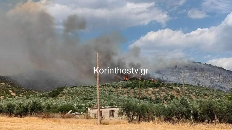 Ο Ολυμπιακός ανακοίνωσε την έναρξη συνεργασίας με τον Νίκολιτς