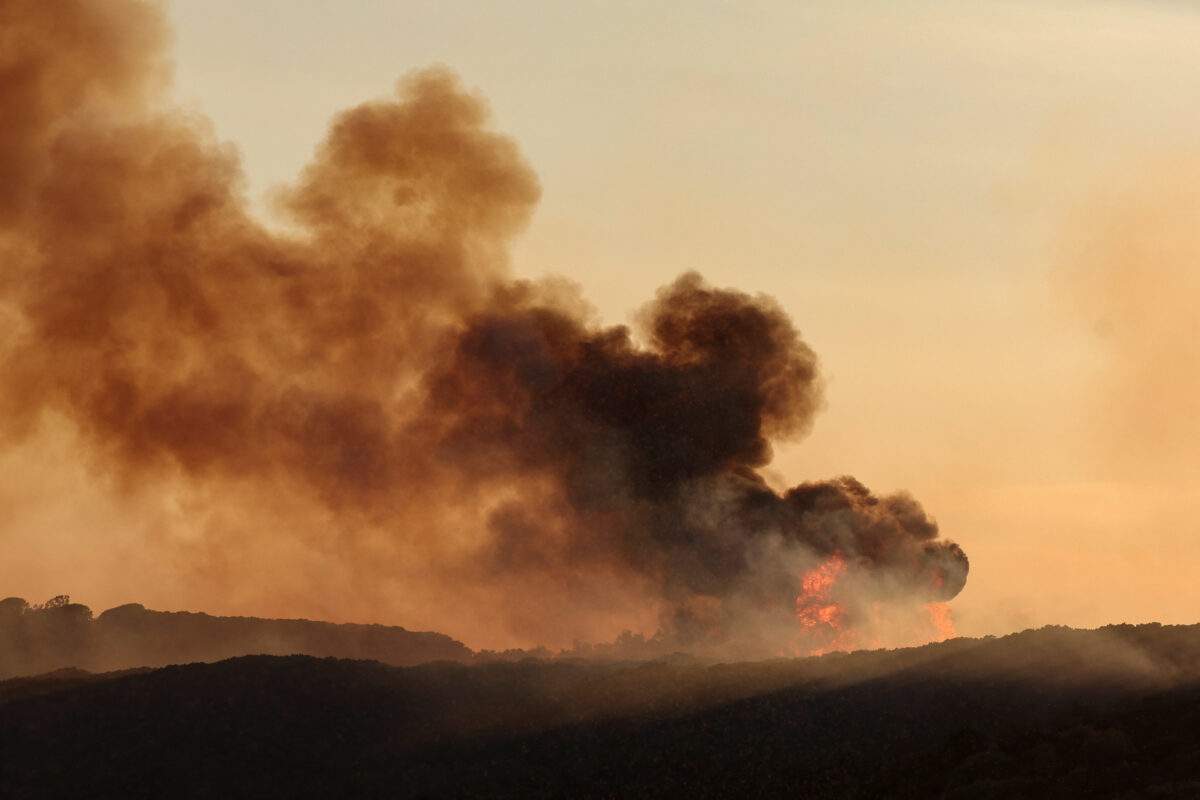 Τα τελευταία λόγια της 31χρονης που κατασπάραξε αλιγάτορας – Η εξομολόγηση του συντρόφου της