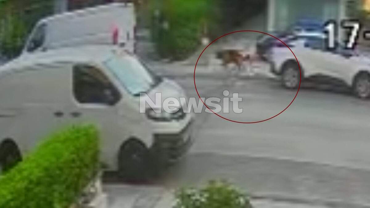 Θανατηφόρο τροχαίο στην Εθνική οδού Αλεξανδρούπολης-Κήπων: Φορτηγό παρέσυρε 87χρονη