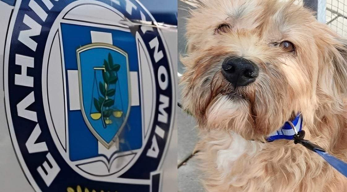 Συλλήψεις σε Καβάλα και Κομοτηνή για πρόκληση πυρκαγιών