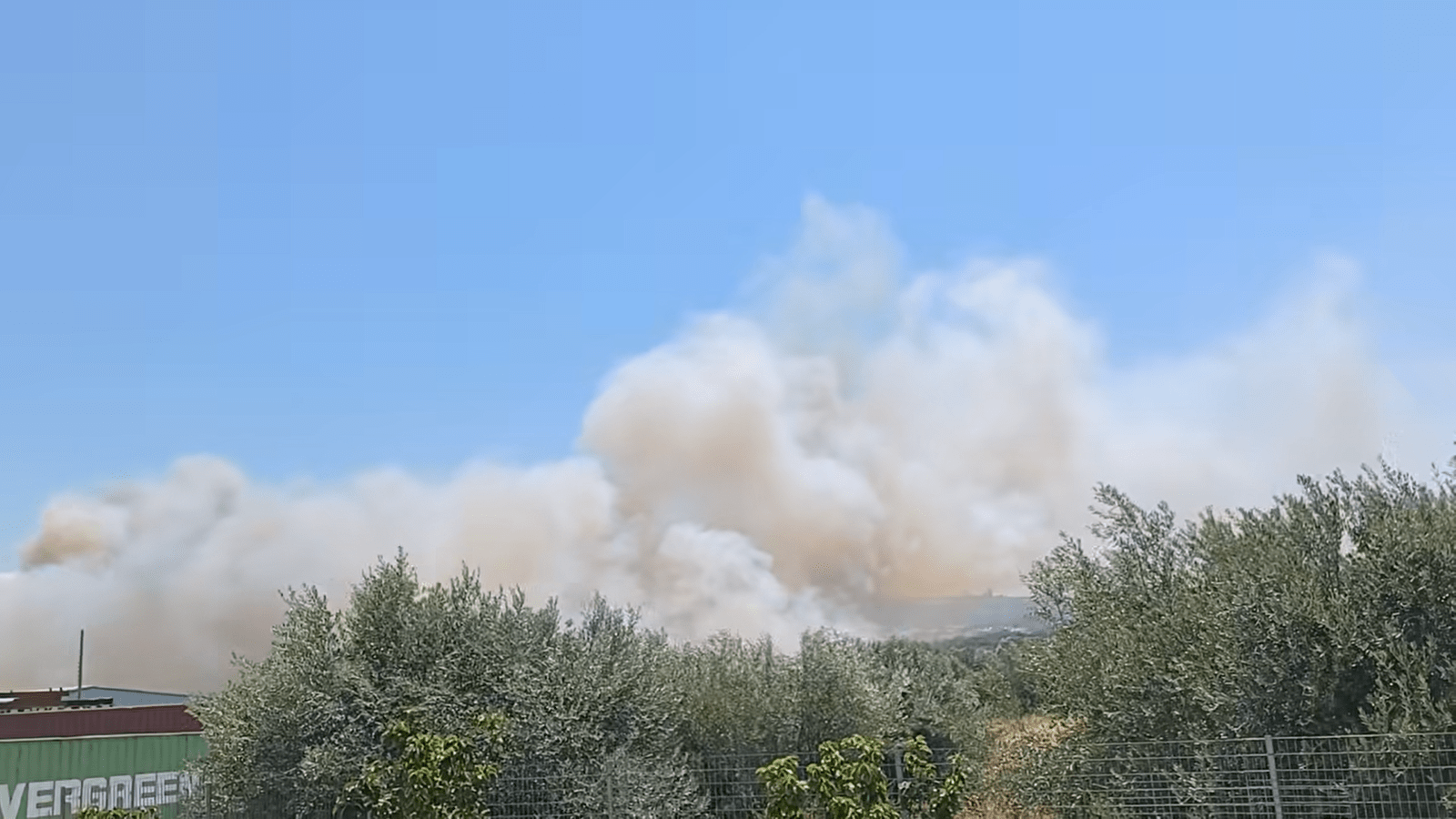 Η Google αφαιρεί αυτήν την εφαρμογή από όλα τα Ελληνικά κινητά – Η ανακοίνωση