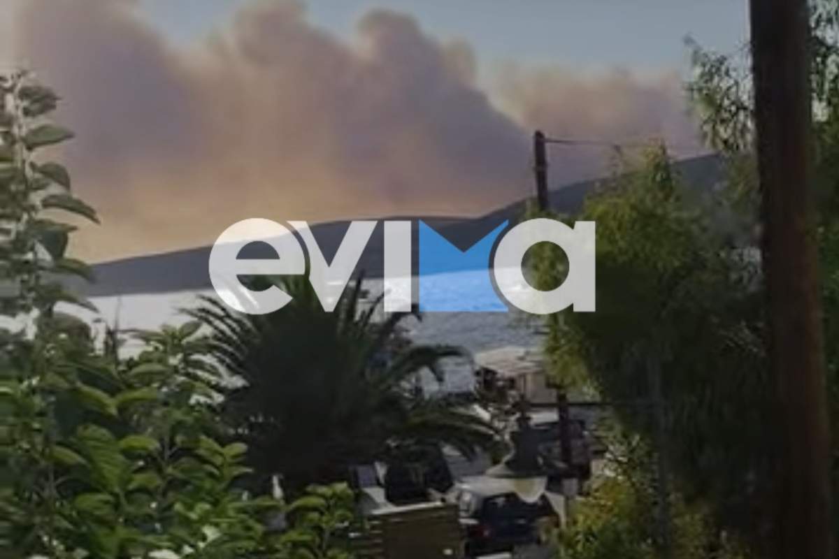 Φωτιά στη Σκύρο: Μάχη σε δύο μέτωπα – Ενισχύθηκαν οι επίγειες και εναέριες δυνάμεις