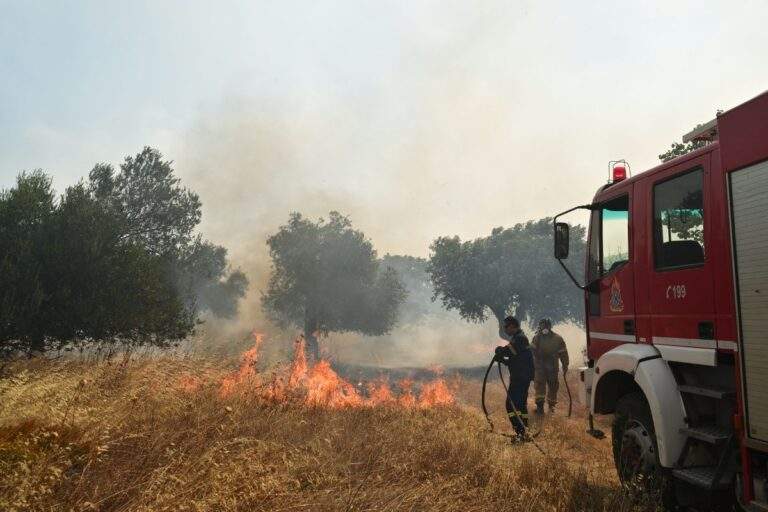 Κίνηση ανθρωπιάς από τη Δήμητρα Κατσαφάδου