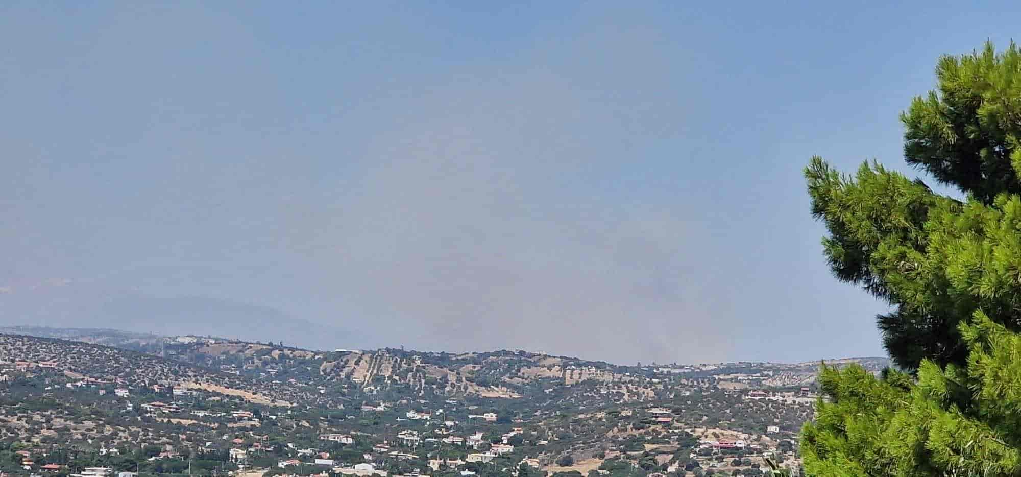 LIVE Streaming: Η συνέντευξη Τύπου του Αλέσιο Λίσι για το ματς με Άντερλεχτ