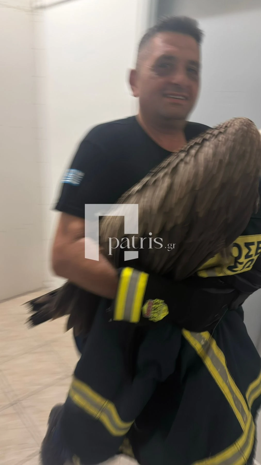Τετράποδοι σκληρά εργαζόμενοι εν μέσω… θέρους