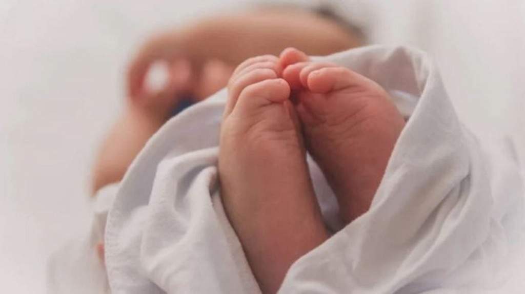 Φωτιά τώρα στον Μύτικα Θήβας – Στη μάχη 8 αεροσκάφη